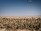 Desert landscape view in garmeh oasis southern iran