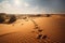 desert landscape, with visible tracks of various animals in the sand