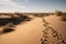 desert landscape, with visible tracks of various animals in the sand