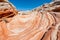 Desert landscape in white pocket, arizona