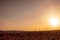 Desert landscape with windmills on Fuerteventura island