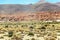 Desert landscapes with mountains in Bolivia at the dry season, dry vegetation is a natural background