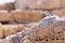 Desert lizard close up portrait on hot dry stones in archaeological site roman ruins in israel