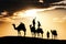 Desert local walks with camel through Thar Desert