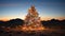 Desert Magic: Illuminated Christmas Tree Glows Under the Sunset Sky