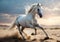 Desert Majesty: Beautiful White Horse Galloping Across Arid Sands