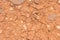 Desert Mirage Rustic Dry Cracked Land