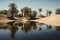 desert mirage of water reflection and palm trees, with reality being endless dunes