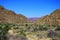 Desert mountain and cactus at Big Bend National Park under blue sky