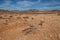 Desert Mountain scene in Richtersveld National Park 3805