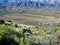 Desert and mountains