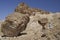 Desert mushroom and desert geology, Mazara, Oman
