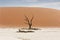 Desert Namib,Namibia,Sossusvlei location