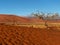 Desert Namibia