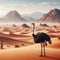 Desert Nomad - Ostrich Explorer