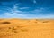 Desert of North Africa