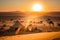 Desert Oasis: Bedouin Camp Amidst the Endless Sands and Camels on Horizon