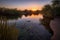 desert oasis with carp swimming in calm waters against sunset backdrop