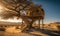 A Desert Oasis: The Enchanting Tree House in the Barren Sands. A tree house in the middle of the desert