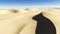 Desert Panorama