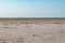 Desert panorama of the Black Sea biosphere reserve near Zaliznyi Port in Kherson region Ukraine. Landscape divided by the