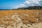 Desert pasture mediterranean sea dry grass blue sky