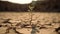 Desert plant thrives on parched, fractured terrain, sweltering day, impacted by climate shift. Generative AI