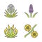 Desert plants color icons set