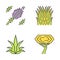 Desert plants color icons set