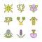 Desert plants color icons set