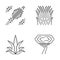 Desert plants linear icons set