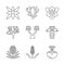 Desert plants linear icons set