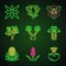 Desert plants neon light icons set