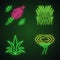 Desert plants neon light icons set