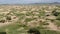 Desert Plants on Sand in Semi-Desert Dunes