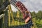 Desert Race (Rollercoaster) Heide Park
