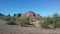 Desert with Red Rocks and Blossoming Larrea Tridentata Plants in Phoenix, Arizona in Spring.