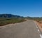 Desert road in early spring