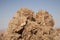 Desert rose, crystals of gypsum