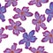 Desert Rose lilac flower. Seamless pattern. Sketch on a white ba