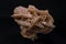 Desert Rose, macro shooting of natural mineral rock specimen piece of gypsum