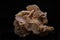 Desert Rose, macro shooting of natural mineral rock specimen piece of gypsum