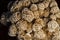 Desert Rose Selenite rock closeup with black background