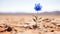 Desert\\\'s Hidden Jewel: A Lone Blue Blossom Amid the Arid Expanse