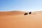 Desert safari, Sahara desert, Libya