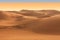 Desert safari on sunset near Dubai. UAE