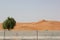 Desert sand barrier stop Desertification