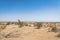 Desert / sand dune landscape view near Yazd in Iran - desertification, climate change, environment concept