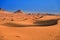 Desert sand dunes and fossil rock