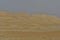 Desert sand in the heart of Saudi Arabia, no life just sand everywhere